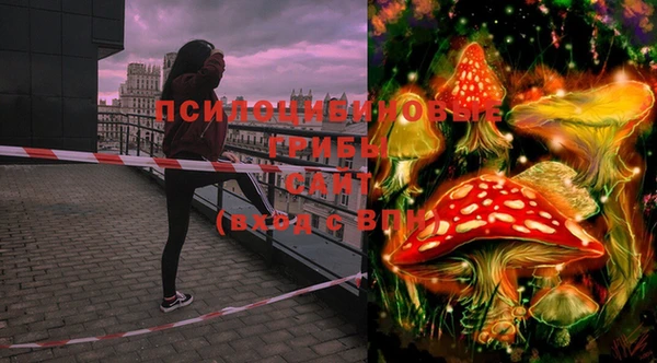 дмт Балахна