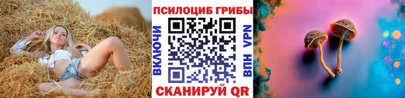 наркотики  MEGA как зайти  Псилоцибиновые грибы Psilocybine cubensis  Армавир 